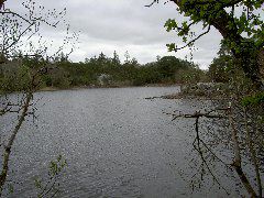 PICT4507.JPG
