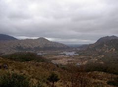 PICT4513.JPG
