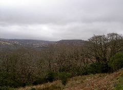 PICT4516.JPG