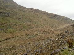 PICT4523.JPG