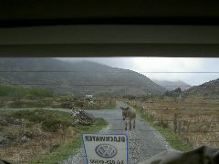 PICT4530.JPG