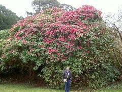 PICT4491.JPG