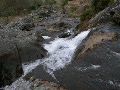 PICT4542.JPG