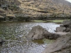 PICT4550.JPG