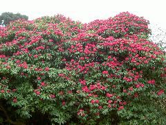 PICT4493.JPG