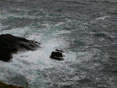 PICT4563.JPG