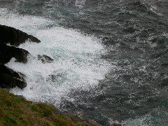 PICT4573.JPG