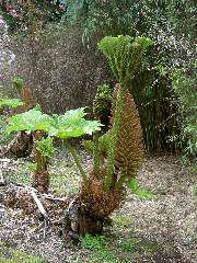 PICT4495.JPG