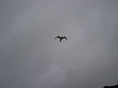 PICT4585.JPG