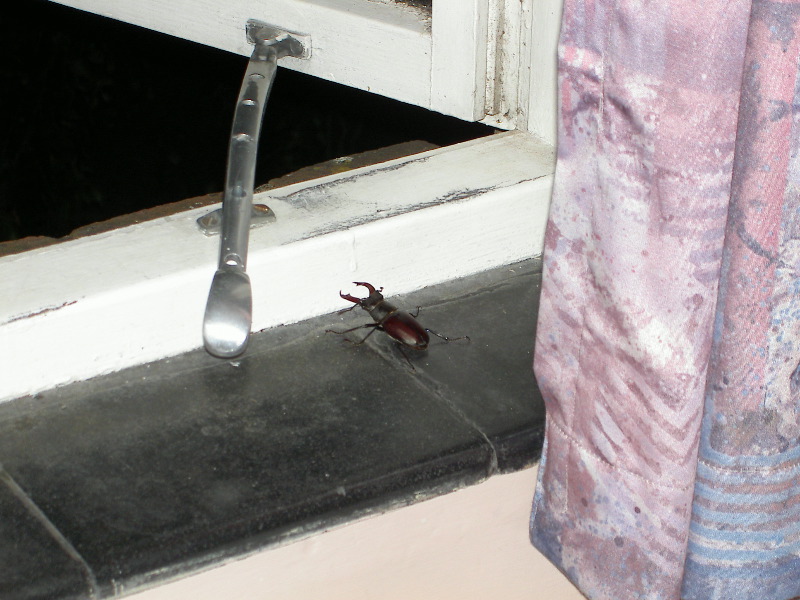PICT4747.JPG