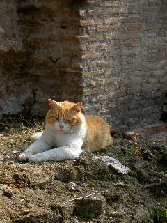 PICT4431.JPG