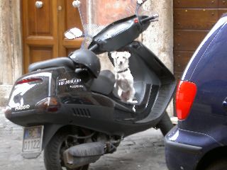 PICT4401.JPG