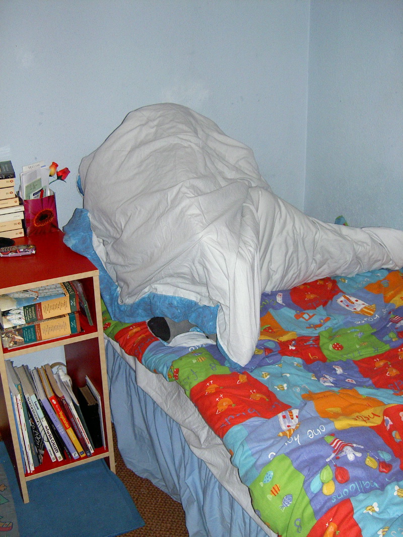 PICT4737.JPG
