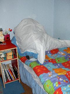 PICT4737.JPG